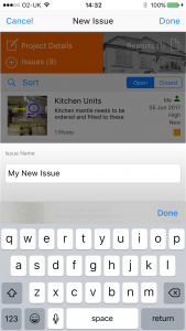 Enter the issue name