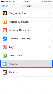 Settings Naming - Site Audit Punch List App